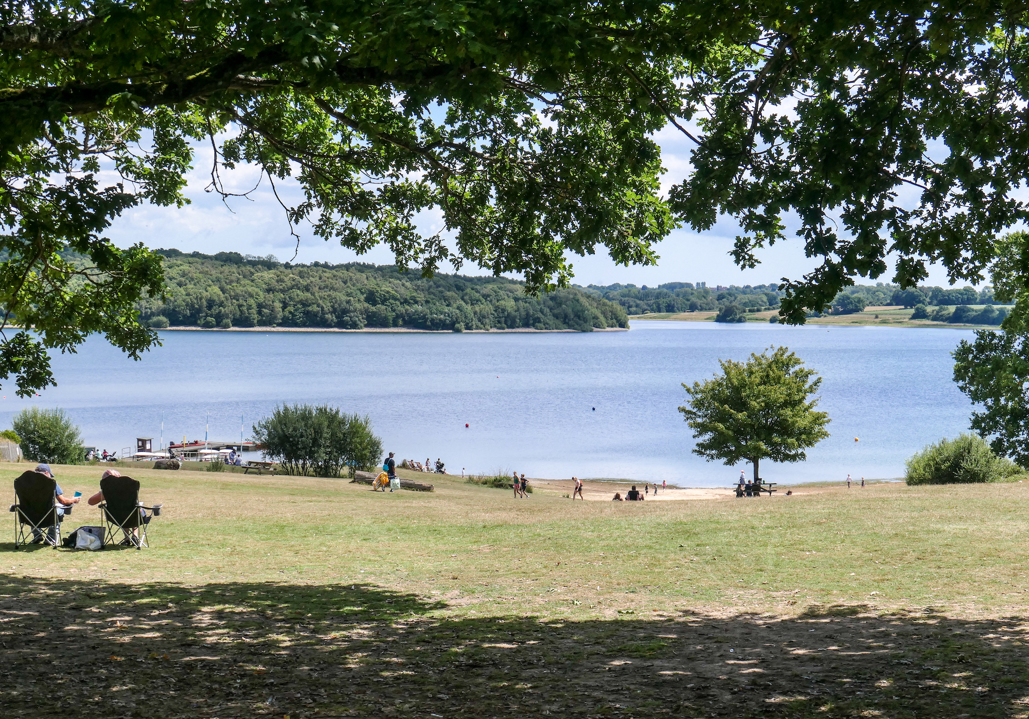 View of reservoir at Bewl Water, near Lamberhurst, on the boundary of East Sussex and Kent.
